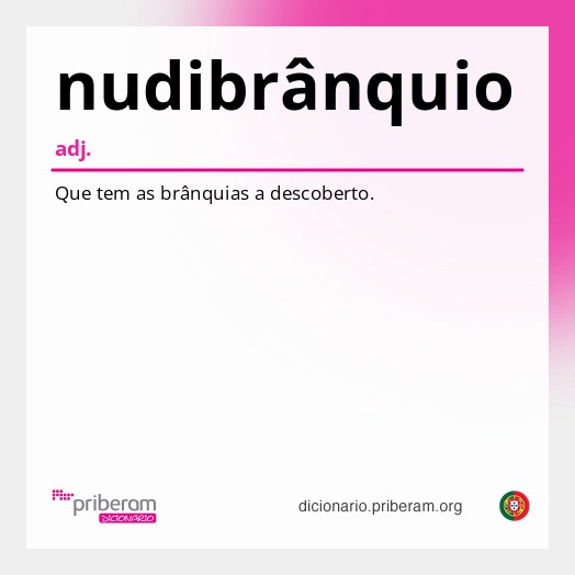 Significado de nudibrânquio