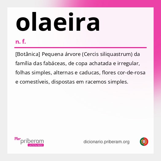 Significado de olaeira