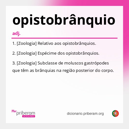 Significado de opistobrânquio