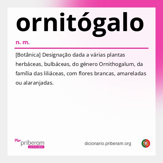Significado de ornitógalo
