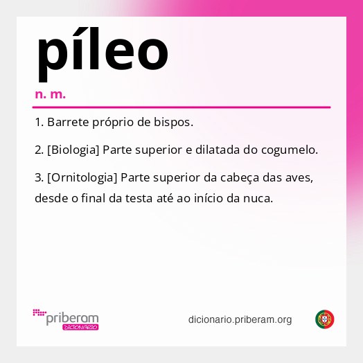 Significado de píleo