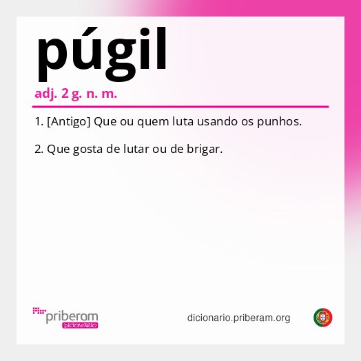 Significado de púgil