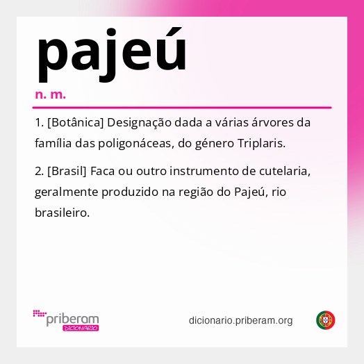 Significado de pajeú