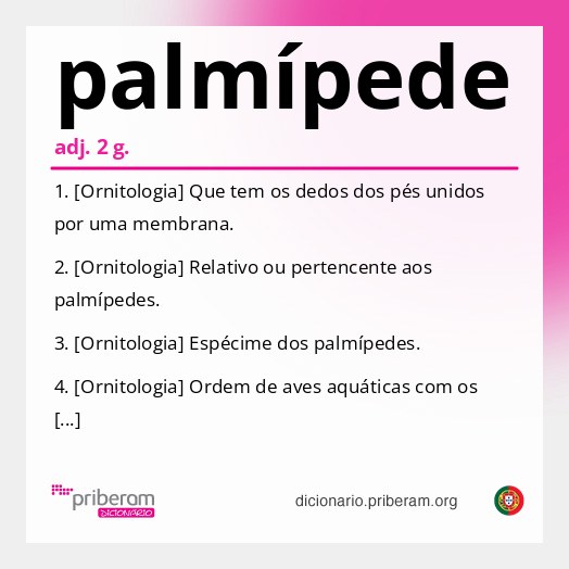 Significado de palmípede