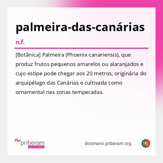Significado de palmeira-das-canárias