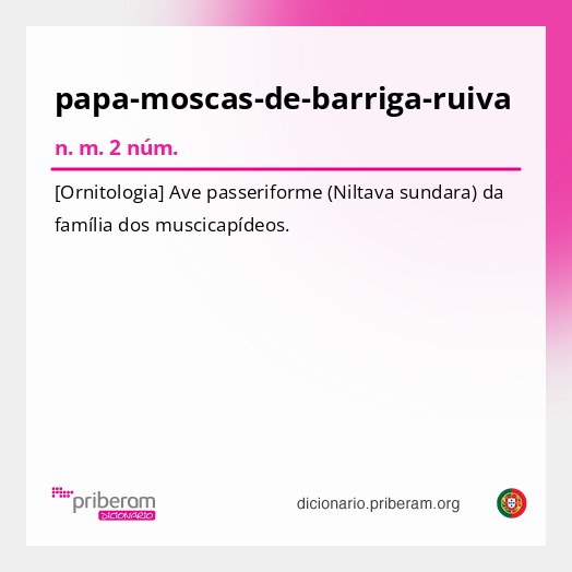 Significado de papa-moscas-de-barriga-ruiva