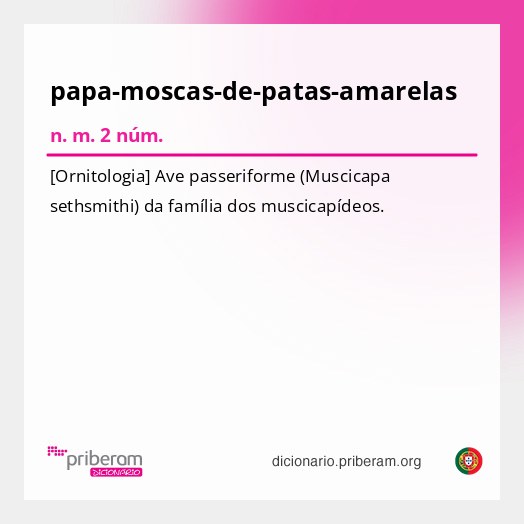 Significado de papa-moscas-de-patas-amarelas