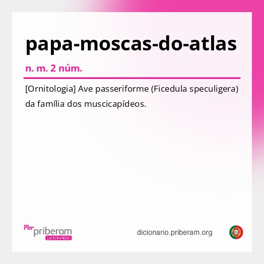 Significado de papa-moscas-do-atlas