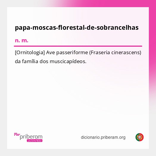 Significado de papa-moscas-florestal-de-sobrancelhas