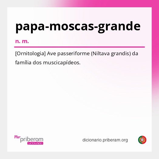 Significado de papa-moscas-grande