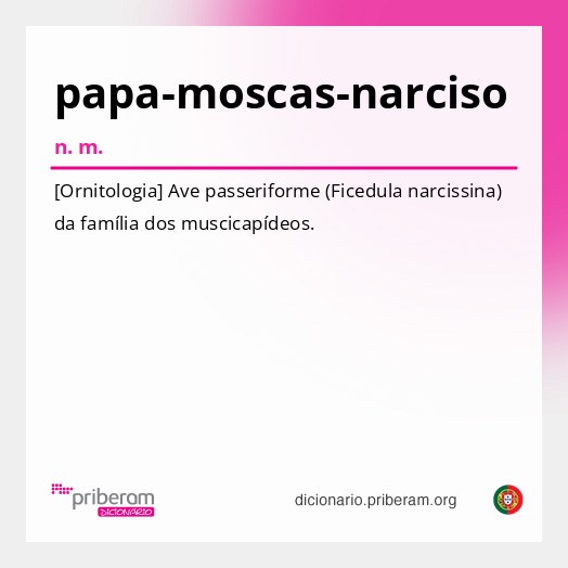 Significado de papa-moscas-narciso