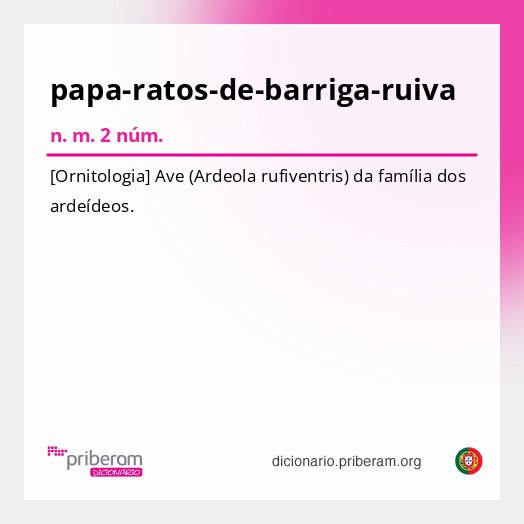 Significado de papa-ratos-de-barriga-ruiva