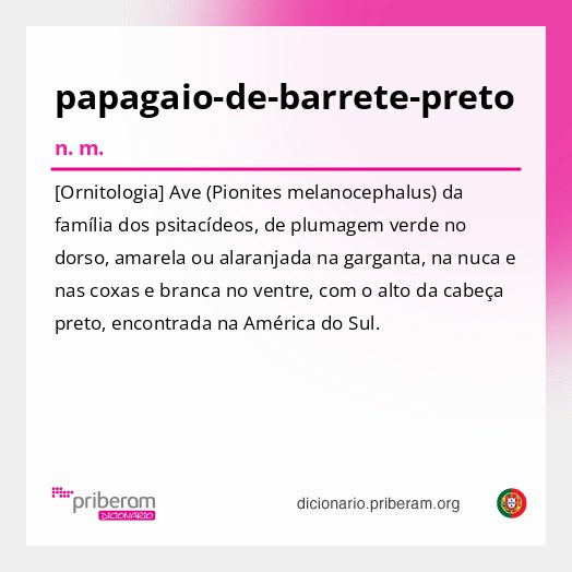 Significado de papagaio-de-barrete-preto