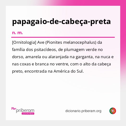 Significado de papagaio-de-cabeça-preta
