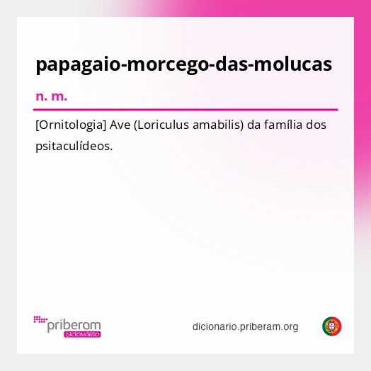 Significado de papagaio-morcego-das-molucas