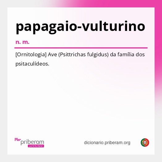 Significado de papagaio-vulturino