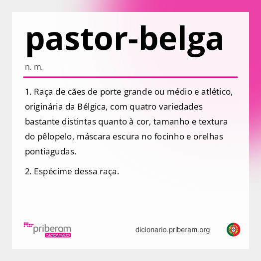 Significado de pastor-belga