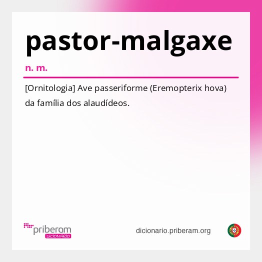 Significado de pastor-malgaxe