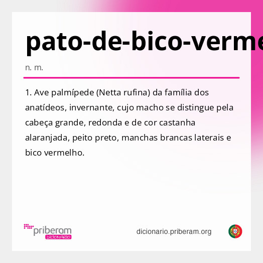 Significado de pato-de-bico-vermelho