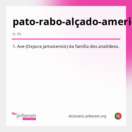 Significado de pato-rabo-alçado-americano