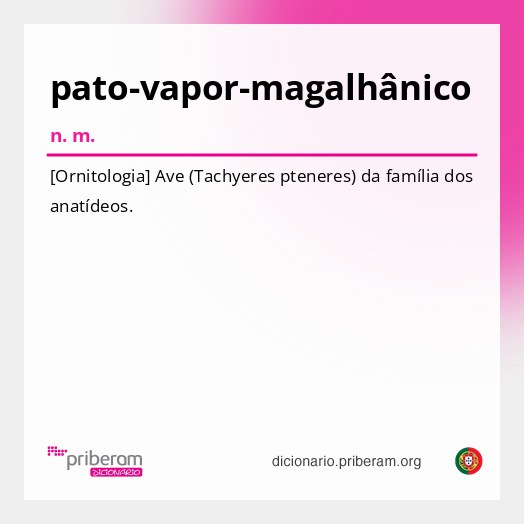 Significado de pato-vapor-magalhânico