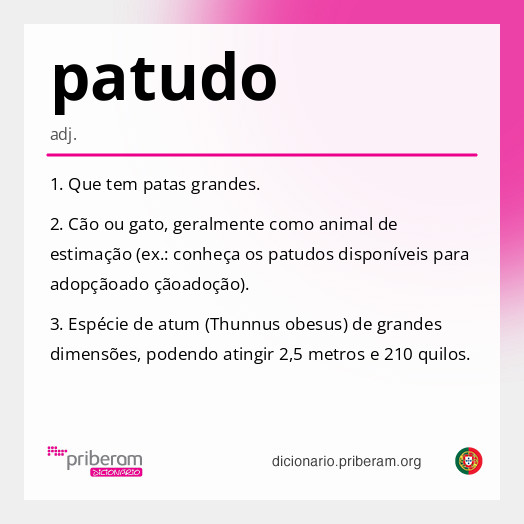 Significado de patudo