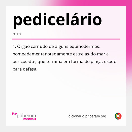 Significado de pedicelário