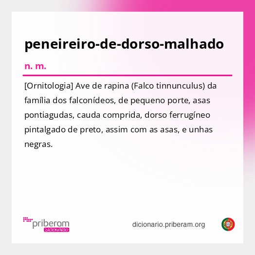 Significado de peneireiro-de-dorso-malhado