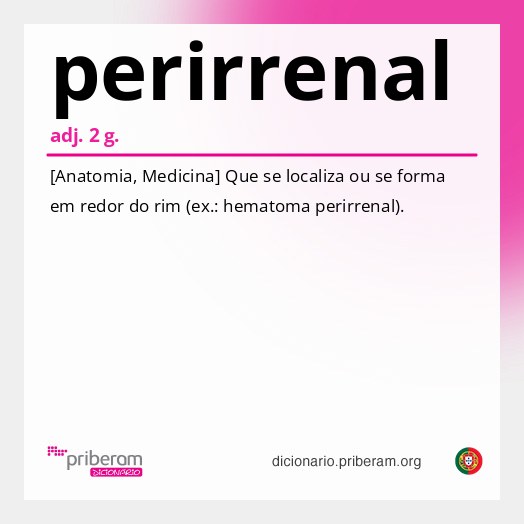 Significado de perirrenal
