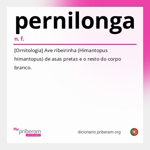 Significado de pernilonga