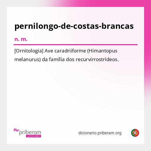 Significado de pernilongo-de-costas-brancas
