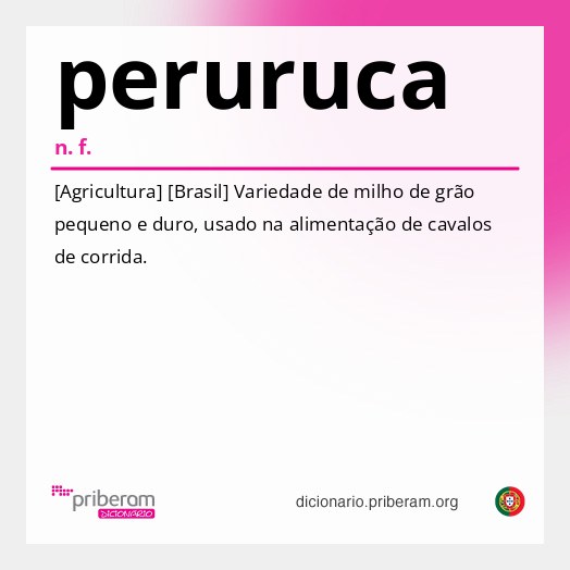 Significado de peruruca