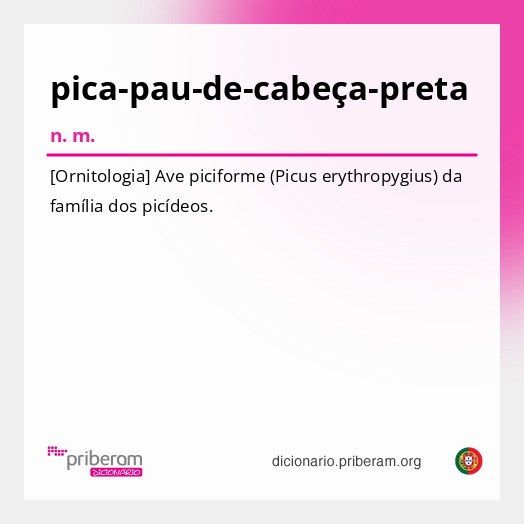 Significado de pica-pau-de-cabeça-preta