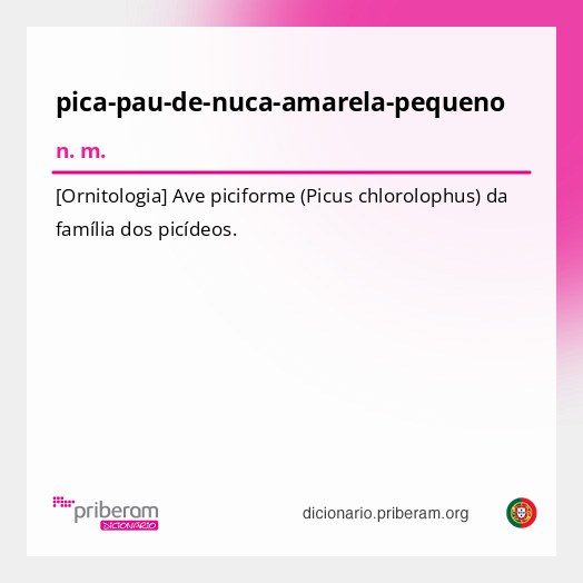 Significado de pica-pau-de-nuca-amarela-pequeno