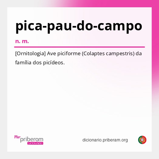 Significado de pica-pau-do-campo