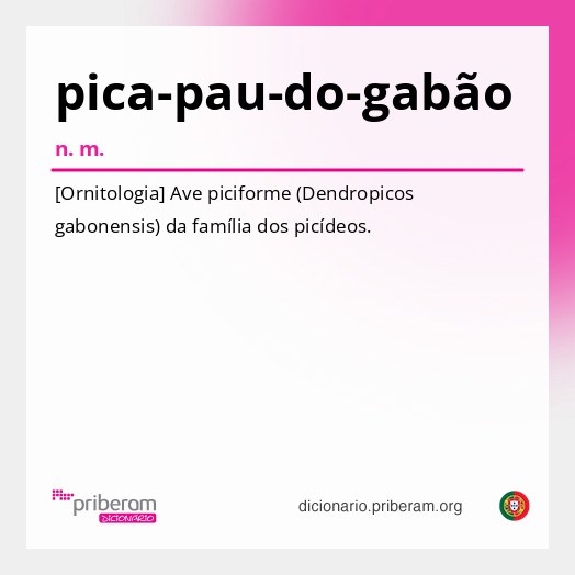 Significado de pica-pau-do-gabão