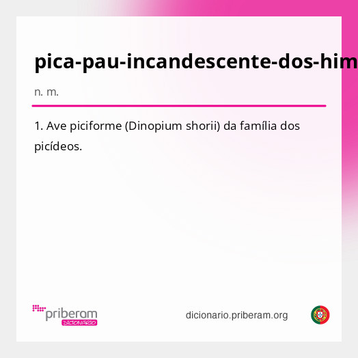 Significado de pica-pau-incandescente-dos-himalaias