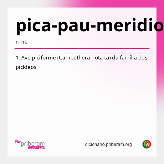 Significado de pica-pau-meridional