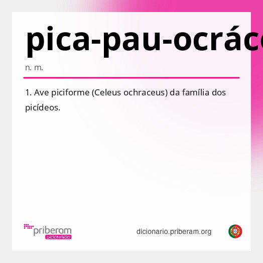 Significado de pica-pau-ocráceo