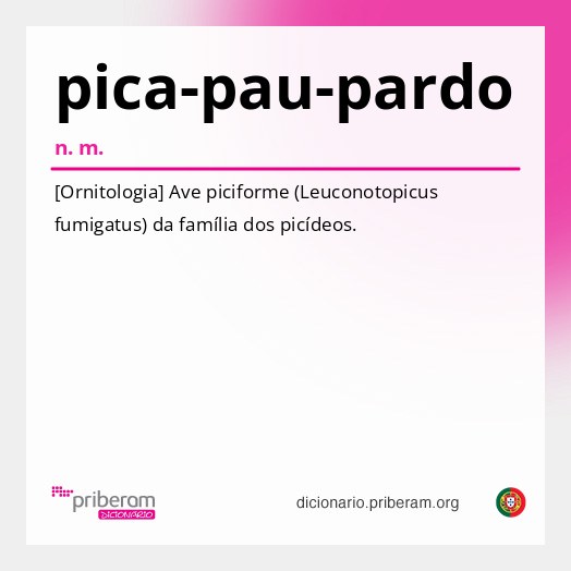 Significado de pica-pau-pardo