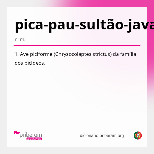 Significado de pica-pau-sultão-javanês