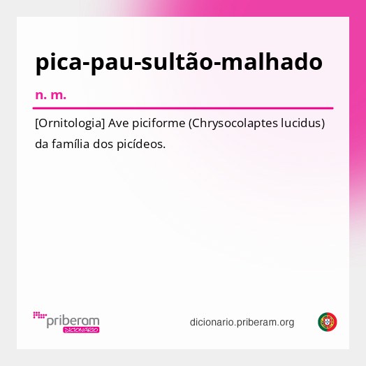 Significado de pica-pau-sultão-malhado