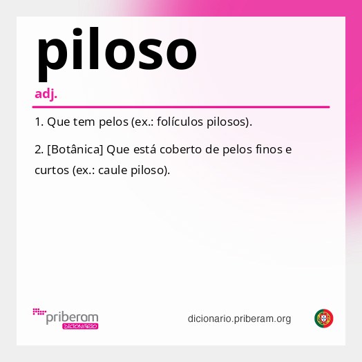 Significado de piloso