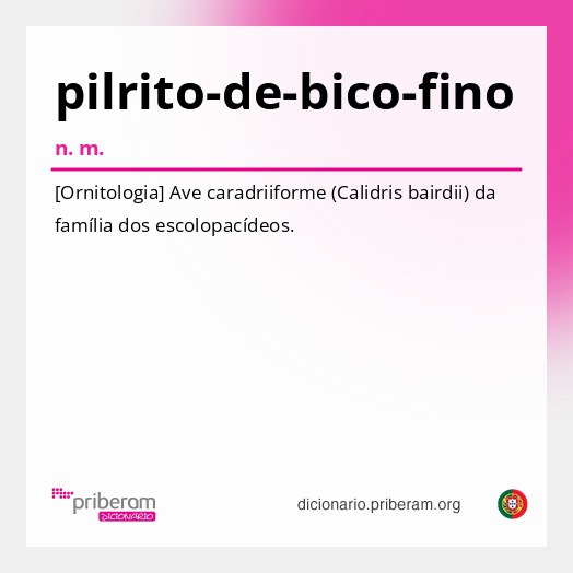 Significado de pilrito-de-bico-fino