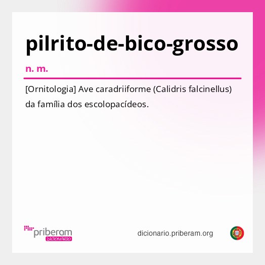 Significado de pilrito-de-bico-grosso