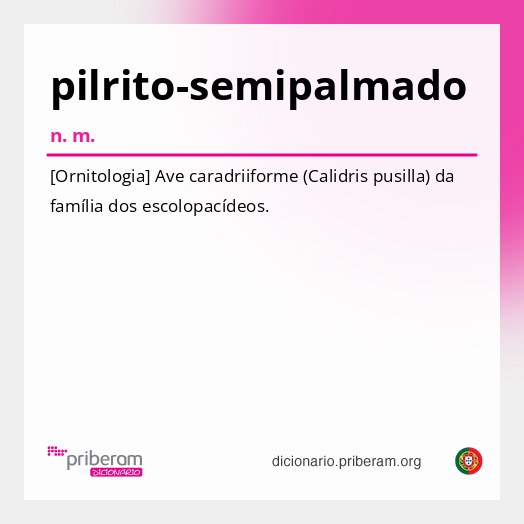 Significado de pilrito-semipalmado