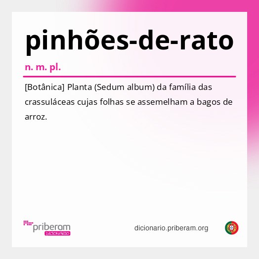 Significado de pinhões-de-rato