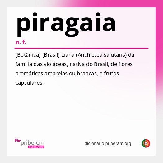 Significado de piragaia