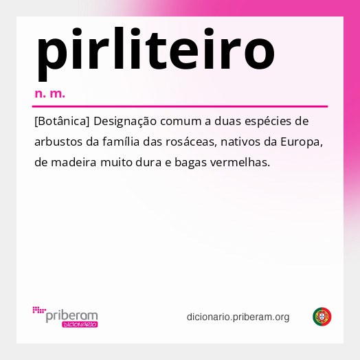 Significado de pirliteiro