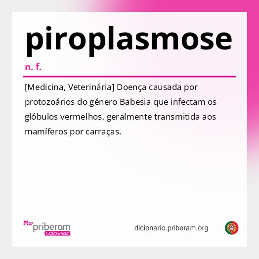 Significado de piroplasmose